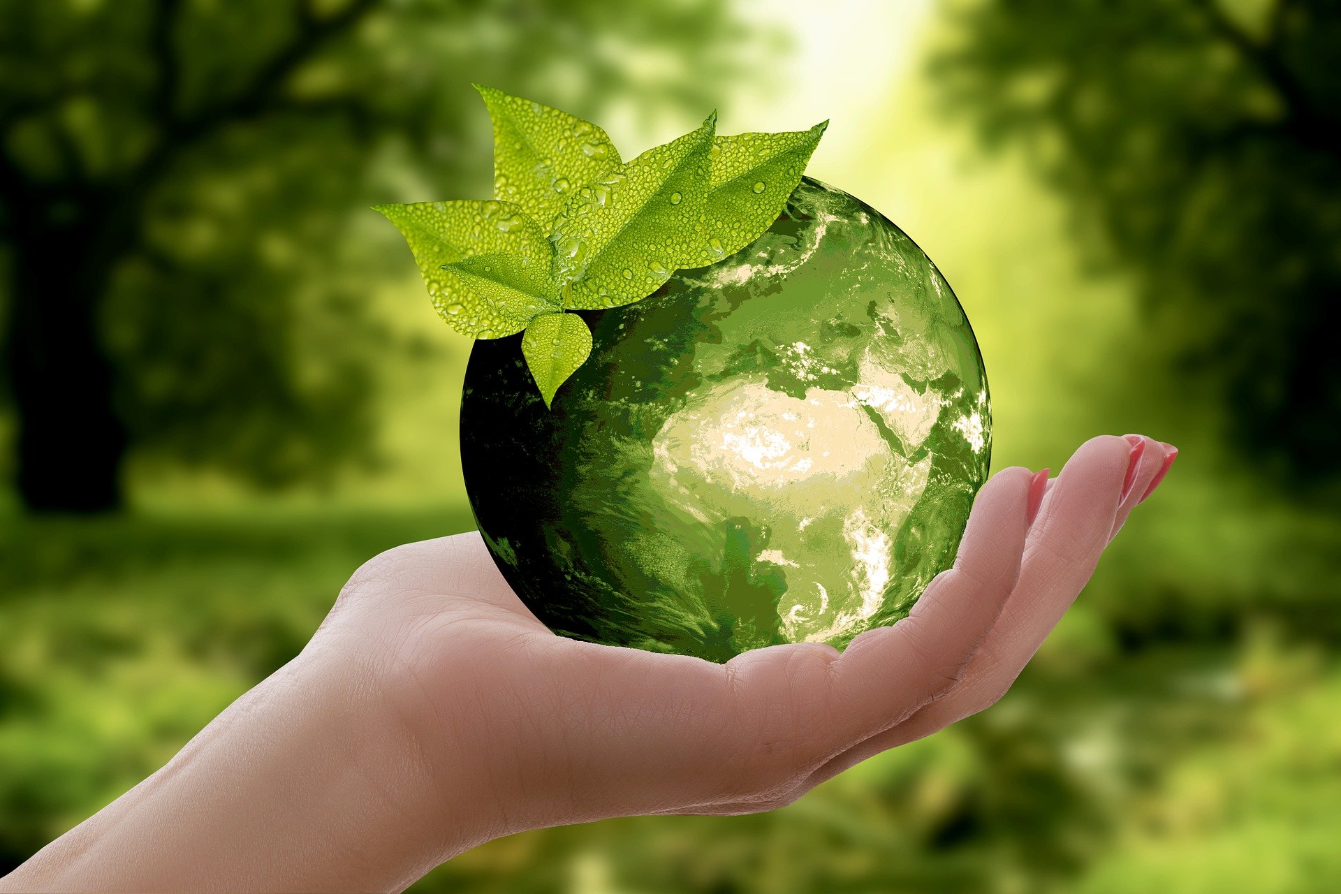 World in green being held by a hand