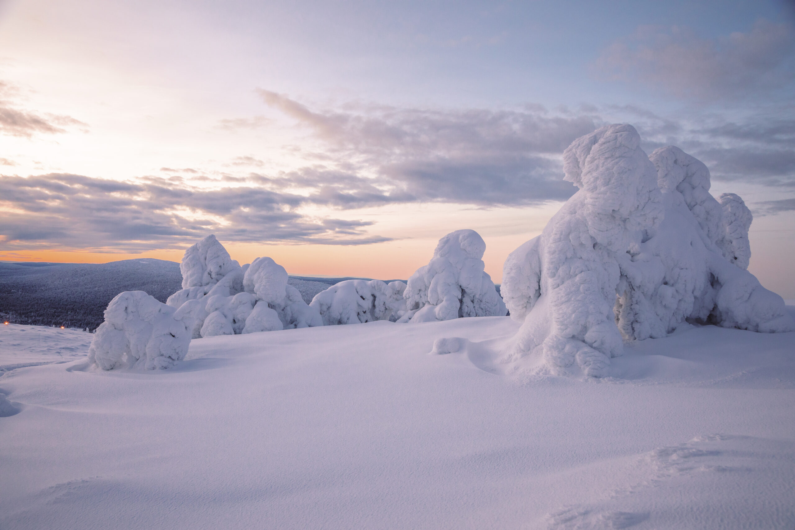 Sunrise view in winter snowy forest from Lapland, Finland